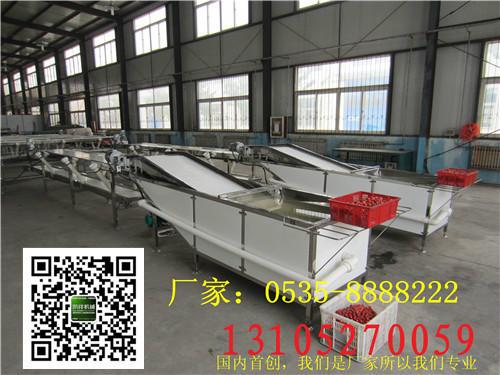供應(yīng)櫻桃選果機(jī)櫻桃無(wú)損傷直徑分級(jí)機(jī)