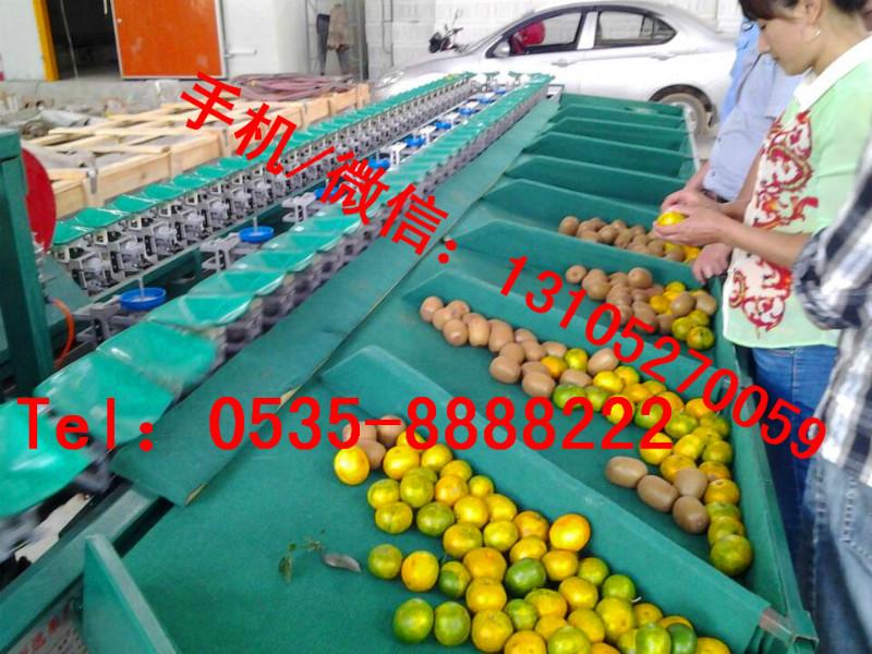 供應(yīng)火龍果自動(dòng)選果機(jī)/火龍果分選機(jī)/火龍果分揀機(jī)/木瓜稱重選果機(jī)