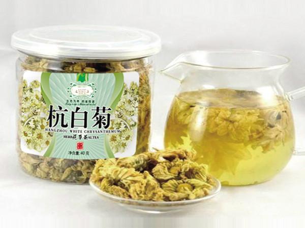 供应杭白菊茶，厂家直销杭白菊茶，樟树一福杭白菊茶招商图片