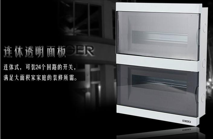 樂清圣明供應TCL配電箱 戶內(nèi)配電箱 室內(nèi)回路箱 品質(zhì)保證