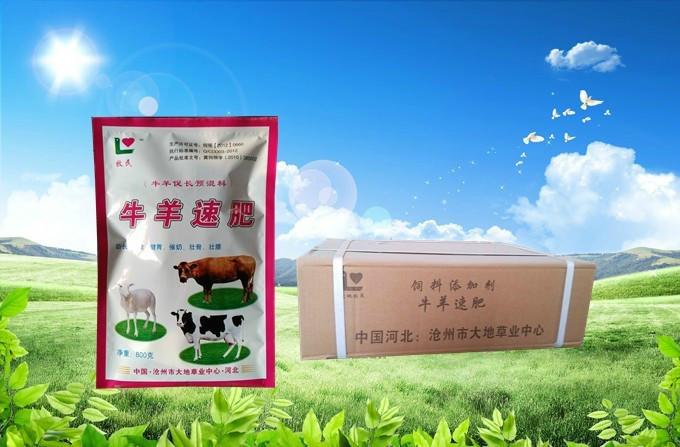 供應牛羊催肥添加劑牛羊速肥