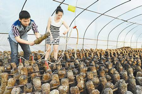 供應大棚配件壓膜槽壓膜卡