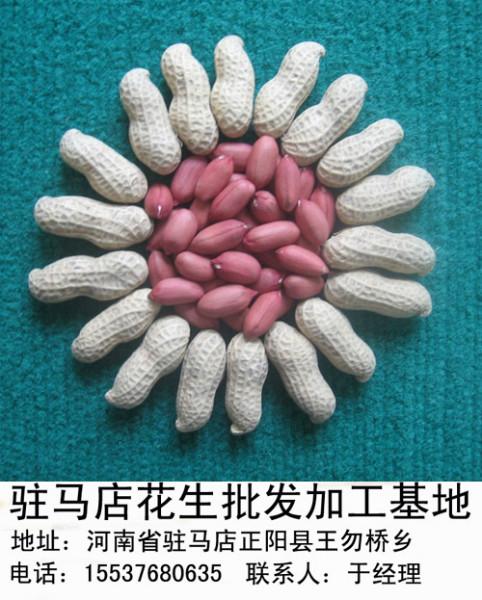 供應花生批發(fā)價格合適