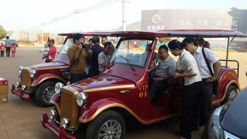 供應(yīng)用于*，公園的湖南電瓶看房車價(jià)格_湖南電瓶車