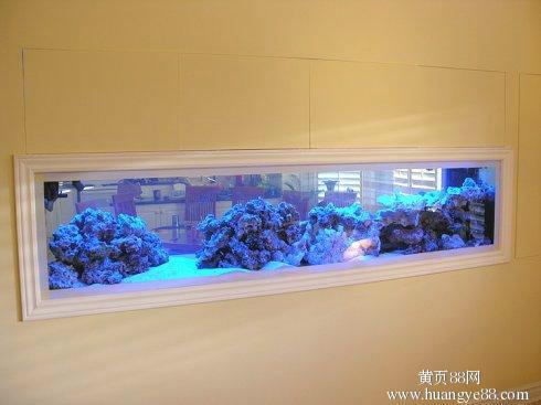 供应定做制冷水族箱设计大型海水缸定做配置小丑鱼赠送免费护理一年图片