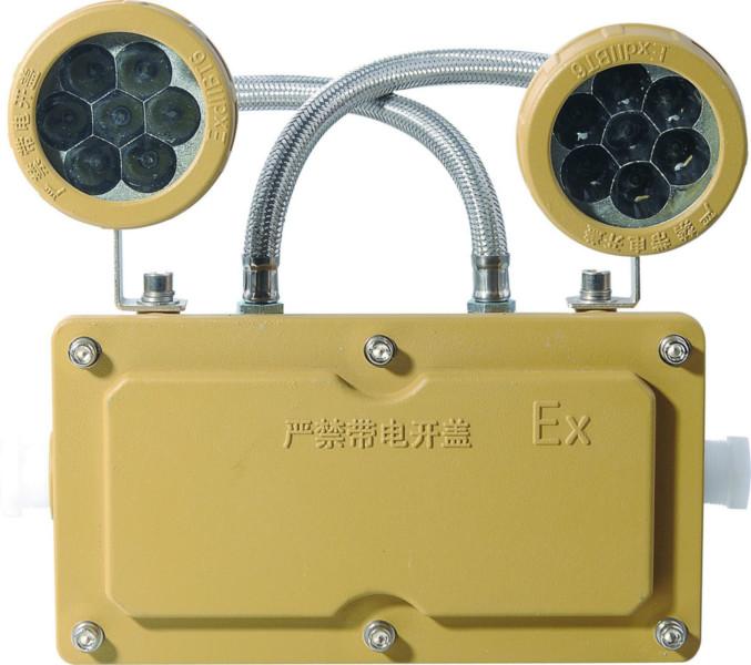 防爆LED應(yīng)急燈圖片