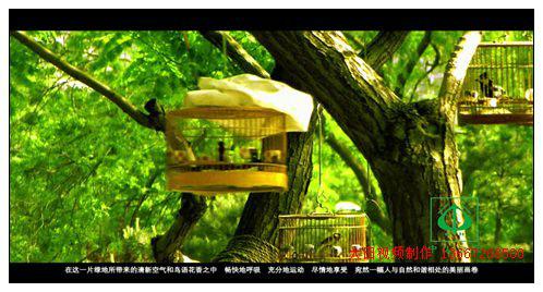 供應(yīng)中山公園宣傳片拍攝制作大田影視