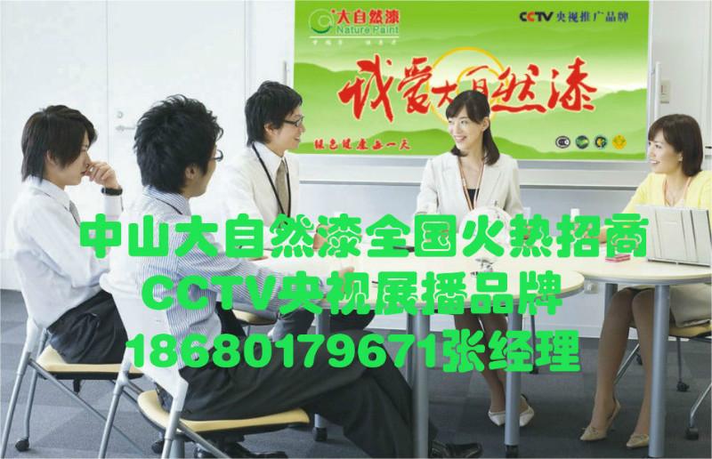 供應(yīng)中山大自然漆天然真石漆