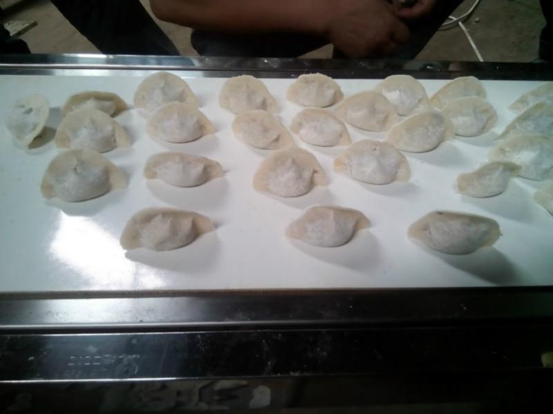 漯河邦達(dá)高速水餃機(jī)，餃子機(jī)，餛飩機(jī)，以及配套設(shè)備。