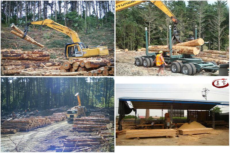 供應花旗松口料，花旗松木方