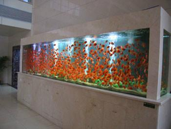 供應(yīng)深圳定做生態(tài)魚缸深圳定做制冷海水缸深圳亞克力魚缸定做