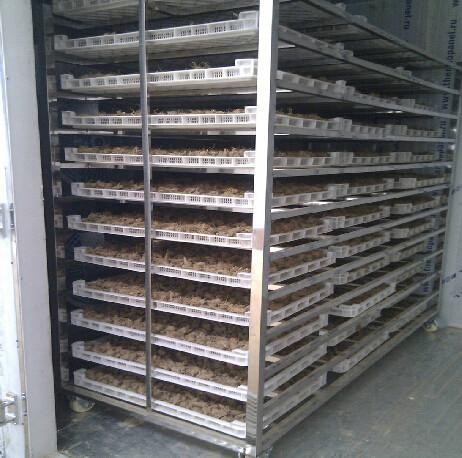 供應(yīng)黃秋葵烘干機(jī) 四川黃秋葵烘干機(jī)廠家