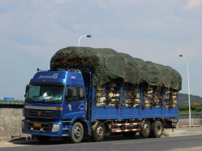 供应义乌到宁波上海外贸物流专业进仓图片