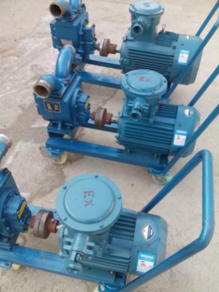 供應(yīng)移動式防爆抽油泵