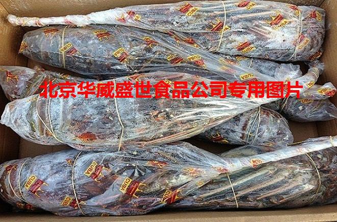 供應(yīng)古巴龍蝦
