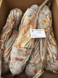 供應(yīng)古巴龍蝦