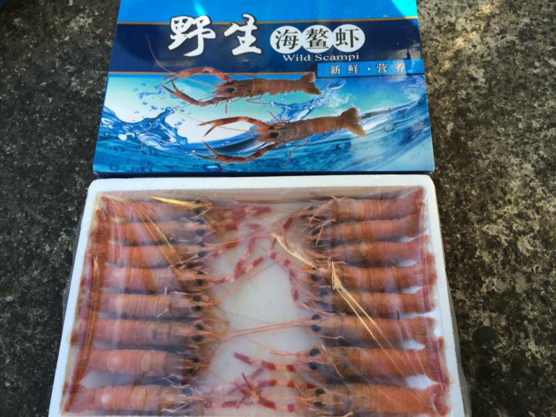 供應(yīng)*海鰲蝦