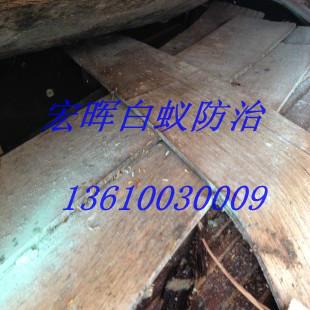 供應(yīng)天河區(qū)有害生物防治電話，天河區(qū)有害生物防治公司