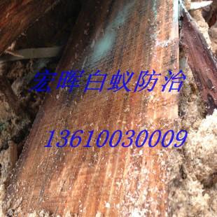 供應(yīng)沙園街道滅白蟻電話，沙園街道滅白蟻價(jià)格，沙園街道滅白蟻報(bào)價(jià)