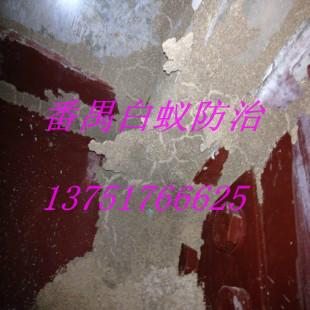 供應大龍街哪家滅白蟻公司*，大龍街滅白蟻*，大龍街滅白蟻價錢