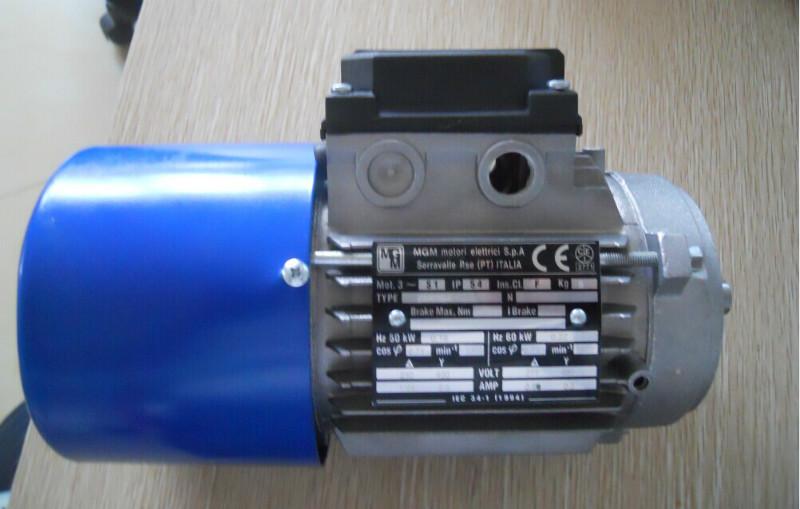 供應(yīng)意大利MGM電機(jī)應(yīng)