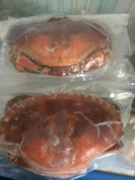 供應(yīng)進(jìn)口英格蘭黃金蟹