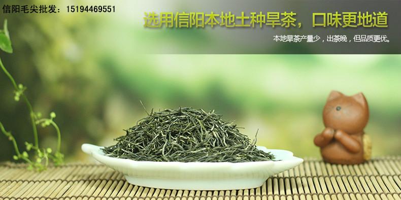 供应信阳毛尖新茶出售