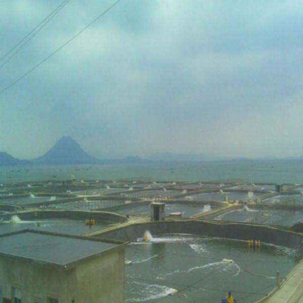 供應(yīng)德州糙面HDPE土工膜廠家直銷，德州糙面HDPE土工膜廠家