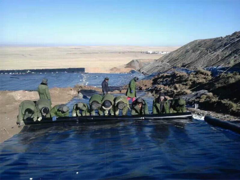 德州糙面HDPE土工膜圖片