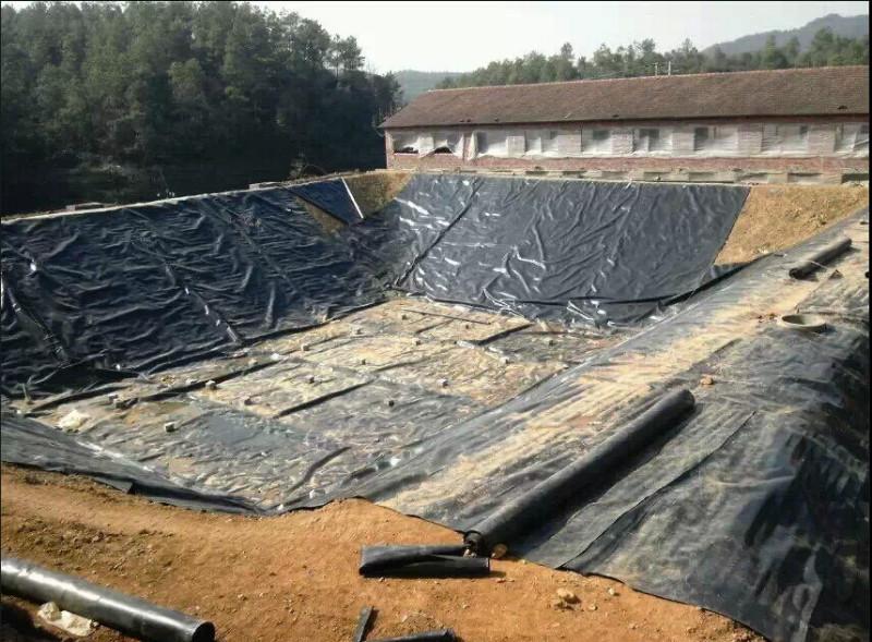 供應(yīng)用于水利工程|養(yǎng)殖池防滲的0.3mm土工膜