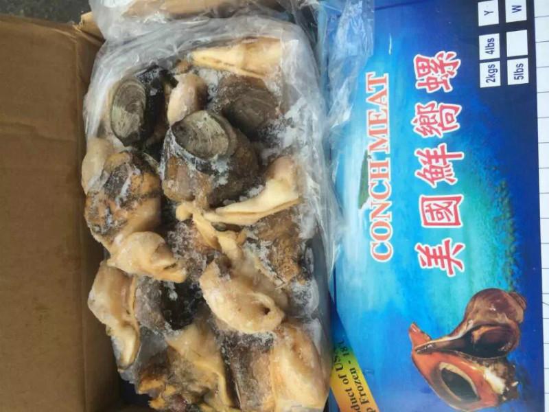 供應進口美國鮮響螺特價批發(fā)