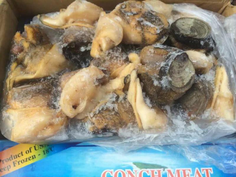 供應進口美國鮮響螺特價批發(fā)