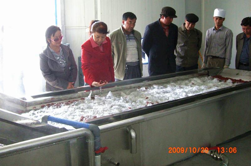 供應(yīng)大型食堂蔬菜清洗機(jī)   全自動(dòng)蔬菜清洗機(jī)