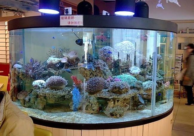 供應(yīng)大型圓柱形魚缸圓柱形海水觀賞魚缸