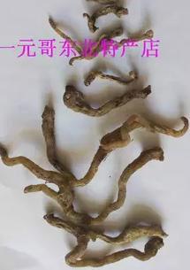 供應(yīng)玉竹/*玉竹干