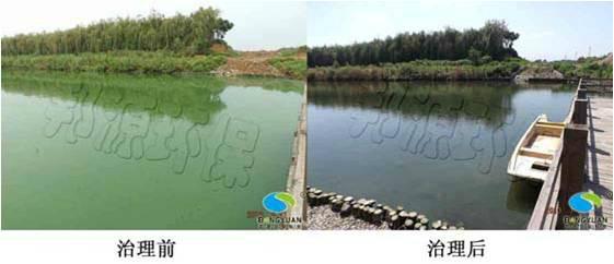 景觀水體富營養(yǎng)化治理圖片