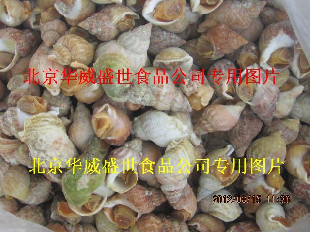 供應(yīng)進口加拿大翡翠螺