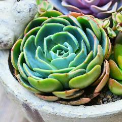 供應(yīng)專業(yè)國(guó)際進(jìn)口物流公司，進(jìn)口清關(guān)，包稅進(jìn)口—無需單證