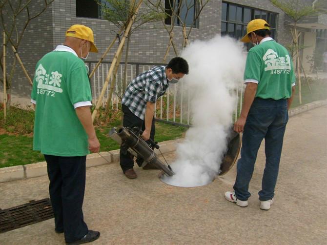 羅湖消殺公司圖片