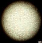 供應(yīng)蘇州空心微珠納米填充料生產(chǎn)廠家