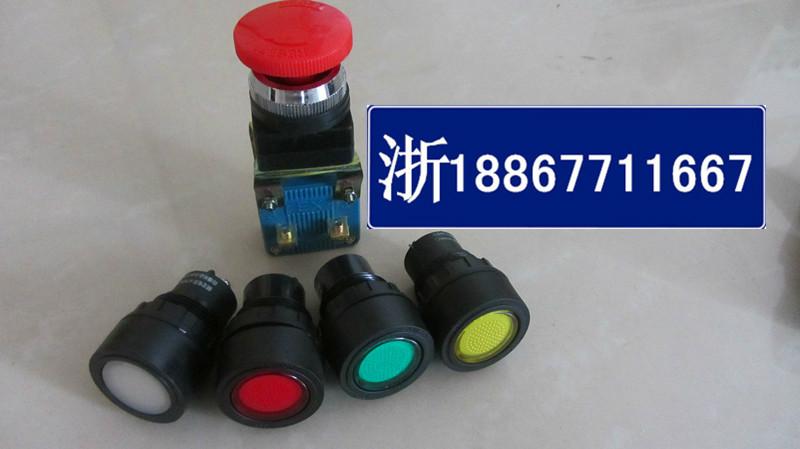 供應(yīng)綠色紅色BAD-1防爆內(nèi)置按鈕