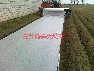 無紡布報(bào)價(jià)圖片