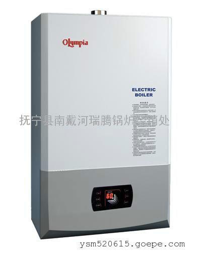 供應(yīng)昌黎電鍋爐