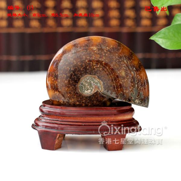 家居風(fēng)水?dāng)[件極品天然玉化螺送禮圖片