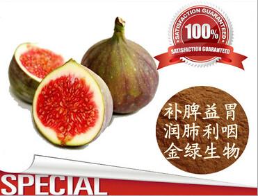 供應(yīng)無花果提取物