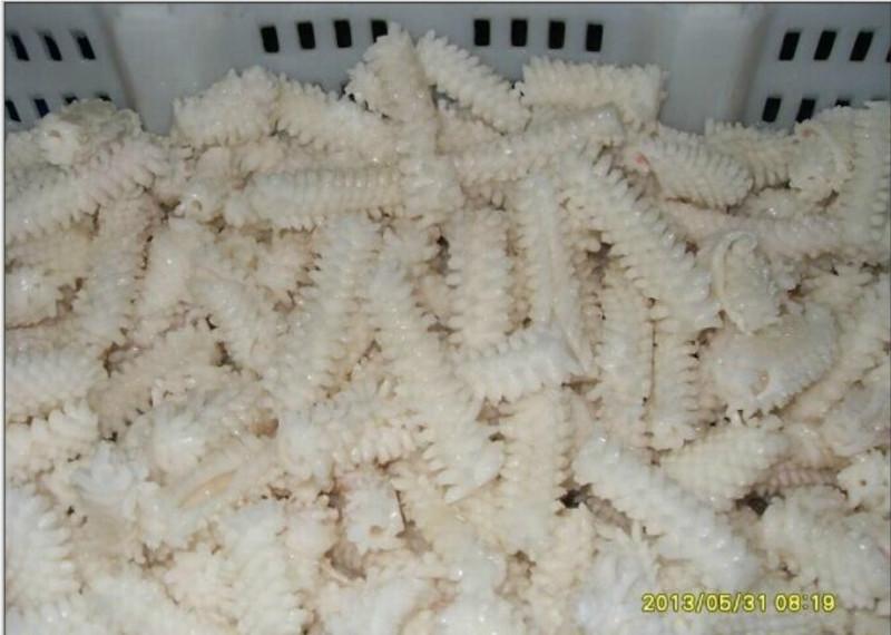 供應(yīng)廠家直銷優(yōu)質(zhì)魷魚切花機(jī)