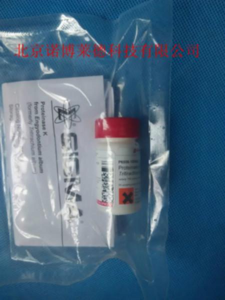 蛋白酶Ksigma圖片
