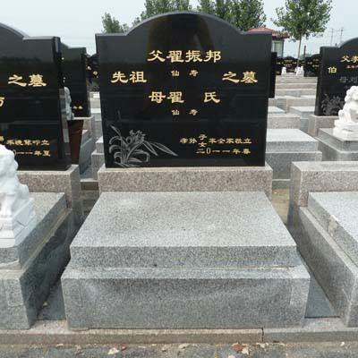 供應天津市的天津?qū)媹@