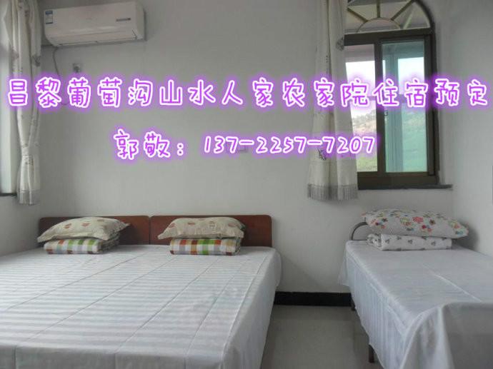 翡翠島住宿圖片/翡翠島住宿樣板圖 (4)