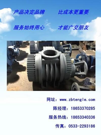 羅茨真空泵廠家圖片